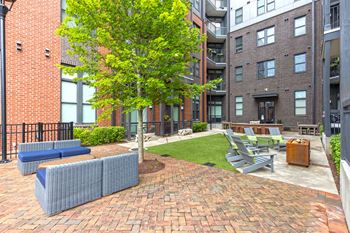 our apartments showcase a naturally well fertilized courtyard